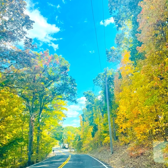 ✨Bookmark me✨ - Picture 2 of 16